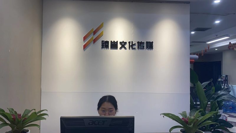 品牌设计公司报价单：揭秘其背后的设计逻辑与考量