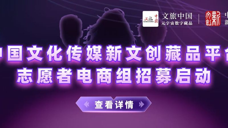 襄阳文化传媒有限公司
